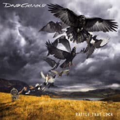 David Gilmour - Rattle That Lock (Vinilo, Ed. EU, 2015)
