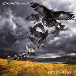David Gilmour - Rattle That Lock (Vinilo, Ed. EU, 2015)