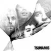 Tsunamis - Corre El Río (CD, 2006)