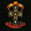 Appetite For Destruction