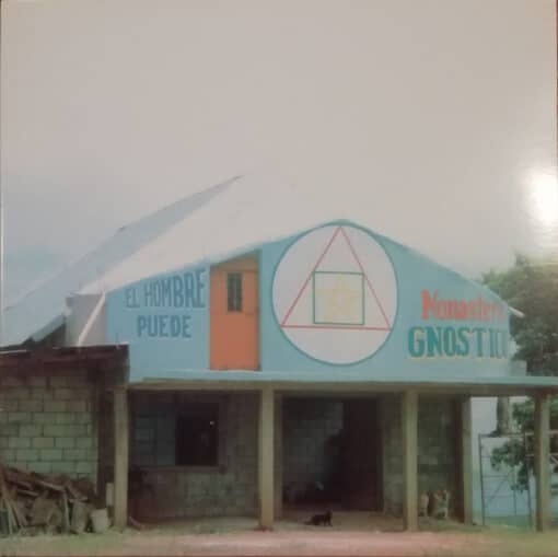 Ases Falsos - El Hombre Puede (Vinilo, Ed. Chilena, 2016)