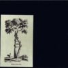 Mishima - Set Tota La Vida