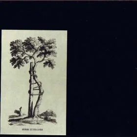 Mishima - Set Tota La Vida