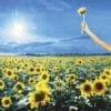 Stone Temple Pilots - Thank You (CD) 2 Stone Temple Pilots Thank You ar