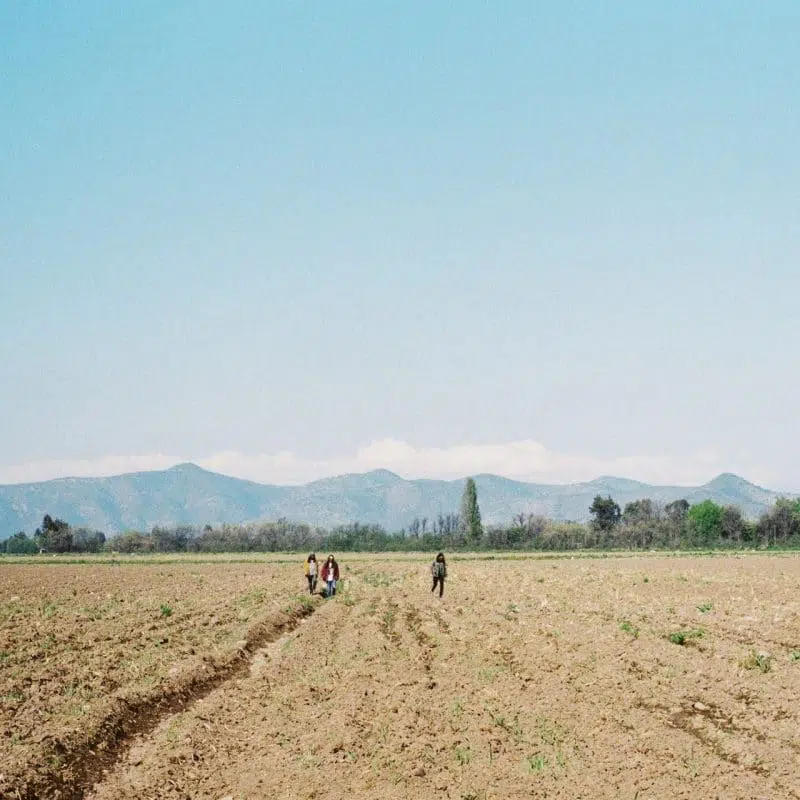 Lagunas Mentales - Lagunas Mentales (Ed. Chilena)