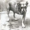 Alice In Chains - Alice In Chains (CD, Ed. US, 1995)
