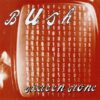 Bush Sixteen Stone