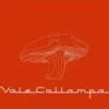 Cafe Tacuba - Vale Callampa (CD)