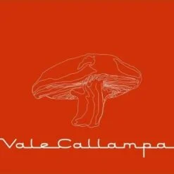 Cafe Tacuba - Vale Callampa (CD)