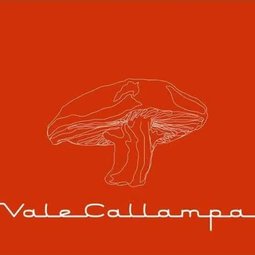 Cafe Tacuba - Vale Callampa (Ed. Chilena, 2002)