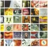 Pearl Jam - No Code (CD, Ed. US, 1996, 4-Panel Gatefold Slipcase)