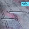 Protistas - Microonda (CD, Ed. Chilena, Digipak, 2017) 3 Protistas Microonda
