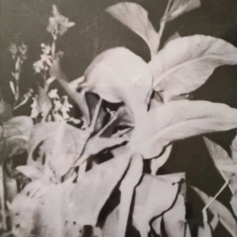 Nueva Costa - El Gran Espíritu (Ed. Chilena, Bonus Tracks)