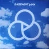 Basement Jaxx ‎– Never Say Never