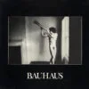 Bauhaus In The Flat Field