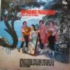 Los Buenos Paraguayos - Los Buenos Paraguayos (Vinilo, Ed. Chile, 1974) 2 los buenos paraguayos