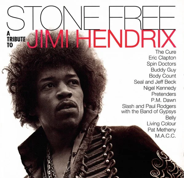 Jimi Hendrix - Stone Free: A Tribute To Jimi Hendrix (Vinilo, 2 LP, Ltd. Ed. EU, 2020) 1 Jimi Hendrix - Stone Free: A Tribute To Jimi Hendrix (Vinilo, 2 LP, Ltd. Ed. EU, 2020)