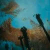 Niños del Cerro - Nonato Coo (CD, Ed. Chilena, 2016)