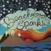 Beachwood Sparks Beachwood Sparks LP Album