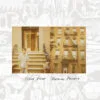 Steve Gunn Boerum Palace LP Album