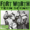 Varios - Fort Worth Teen Scene Volume Three (Vinilo, Ed. US, 2004) 2 Varios Fort Worth Teen Scene Volume Three LP Comp