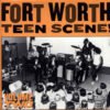 Varios Fort Worth Teen Scene Volume Two LP Comp