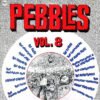 Varios Pebbles Vol. 8 LP Comp