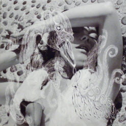 Bjork - Vespertine (Vinilo, 2 LP)
