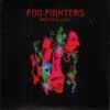 Foo Fighters - Wasting Light (Vinilo, Ed. Europe, 2011)