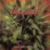 Morcheeba - Who Can You Trust? (Vinilo, Ed. Europe, 2006) 3 Morcheeba Who Can You Trust