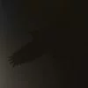 Sigur Ros - Odin's Raven Magic (2 x Vinilo, Ed. UK, EU & USA, 2020) 2 sigur odins