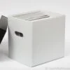Caja de plástico corrugado para almacenar vinilos -Ultra Boxxx (13 x 13", 50 a 65 vinilos)