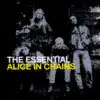 Alice in Chains Essential