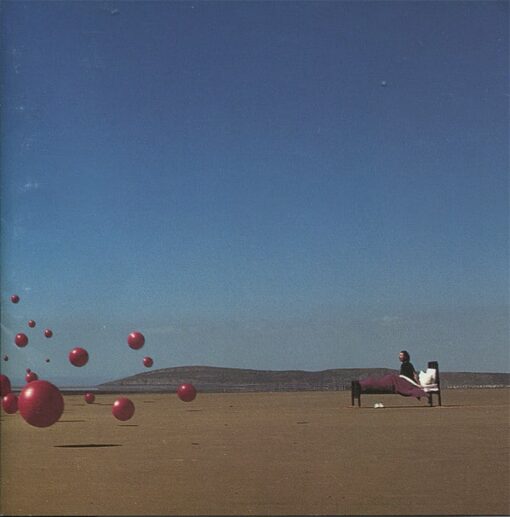 The Cranberries - Wake Up And Smell The Coffee (CD, Ed. Chilena, 2001)