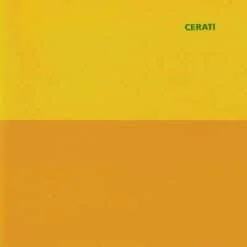 Gustavo Cerati - Amor Amarillo (Vinilo, 2 LP, Ed. Argentina)