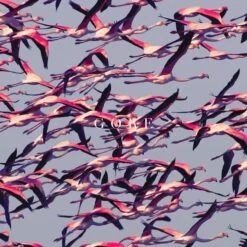 Deftones - Gore (2 x Vinilo, Ed. EU, 2016)