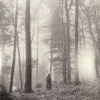 Taylor Swift Folklore