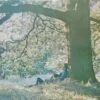 Yoko Ono / Plastic Ono Band - Plastic Ono Band (Vinilo, Ed. US, 2016)