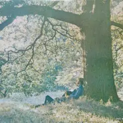 Yoko Ono / Plastic Ono Band - Plastic Ono Band (Vinilo, Ed. US, 2016)