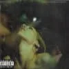 Deftones - Saturday Night Wrist (CD, Ed. Chile, 2000, Enhanced)