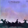 Congreso - Pájaros de Arcilla (Vinilo, Ed. Chile, 2022)