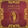 Jethro Tull - Living In The Past (Vinilo, 2 LP, Ed. Germany, )