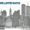 Beastie Boys To The 5 Boroughs CD Album