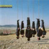 Alan Parsons - Try Anything Once (CD, Ed. Alemania, 1993) 3 Alan Parsons Try Anything Once CD Album