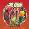 Lila Downs - Al Chile (2 LP, Vinilo, Ed. México, 2020, Vinilos color Rojo y Violeta)
