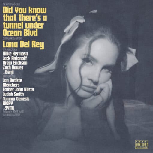 Lana Del Rey - Did You Know That There's a Tunnel Under Ocean Blvd (Vinilo, 2 LP, Ed. EU, 2023, Gatefold)