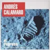 Andrés Calamaro - El Regreso (Vinilo, 2 LP, Ed. Argentina, 2016) 3 Andres Calamaro 2xLP Album