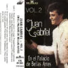 Juan Gabriel - En El Palacio de Bellas Artes Vol 2 (Cassette, Ed. Chile, 1994)