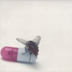 Red Hot Chili Peppers - I'm With You (+ Magazine) (Vinilo)
