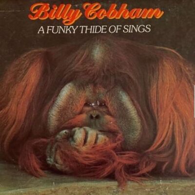 Billy Cobham - A Funky Thide Of Sings